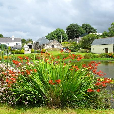 Bed and Breakfast Polhilsa Farm Callington Exteriér fotografie