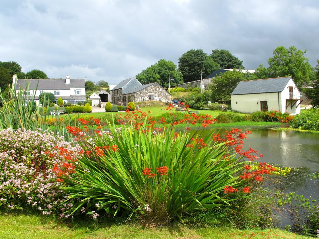 Bed and Breakfast Polhilsa Farm Callington Exteriér fotografie