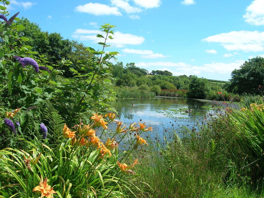 Bed and Breakfast Polhilsa Farm Callington Pokoj fotografie