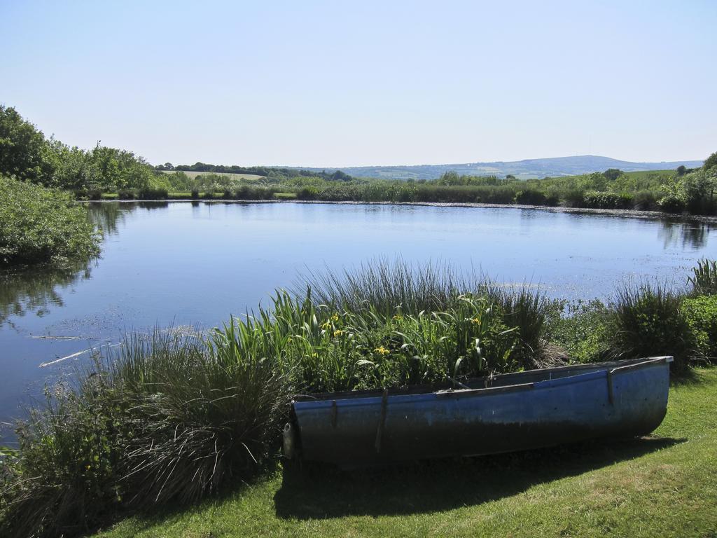 Bed and Breakfast Polhilsa Farm Callington Exteriér fotografie