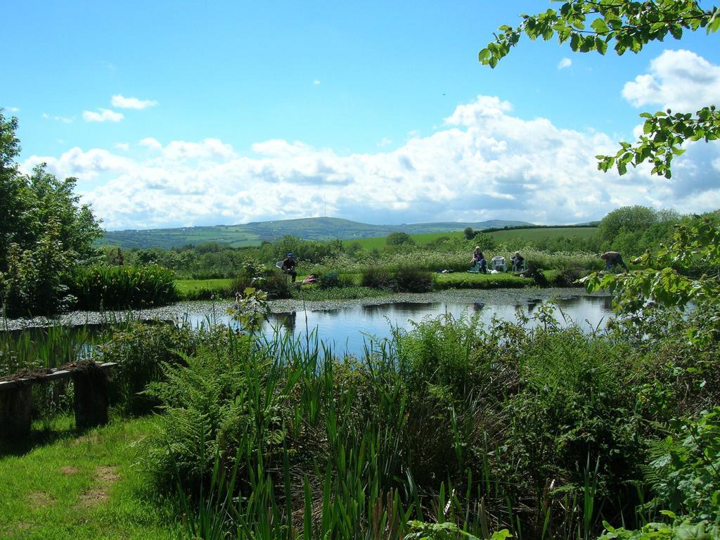 Bed and Breakfast Polhilsa Farm Callington Exteriér fotografie